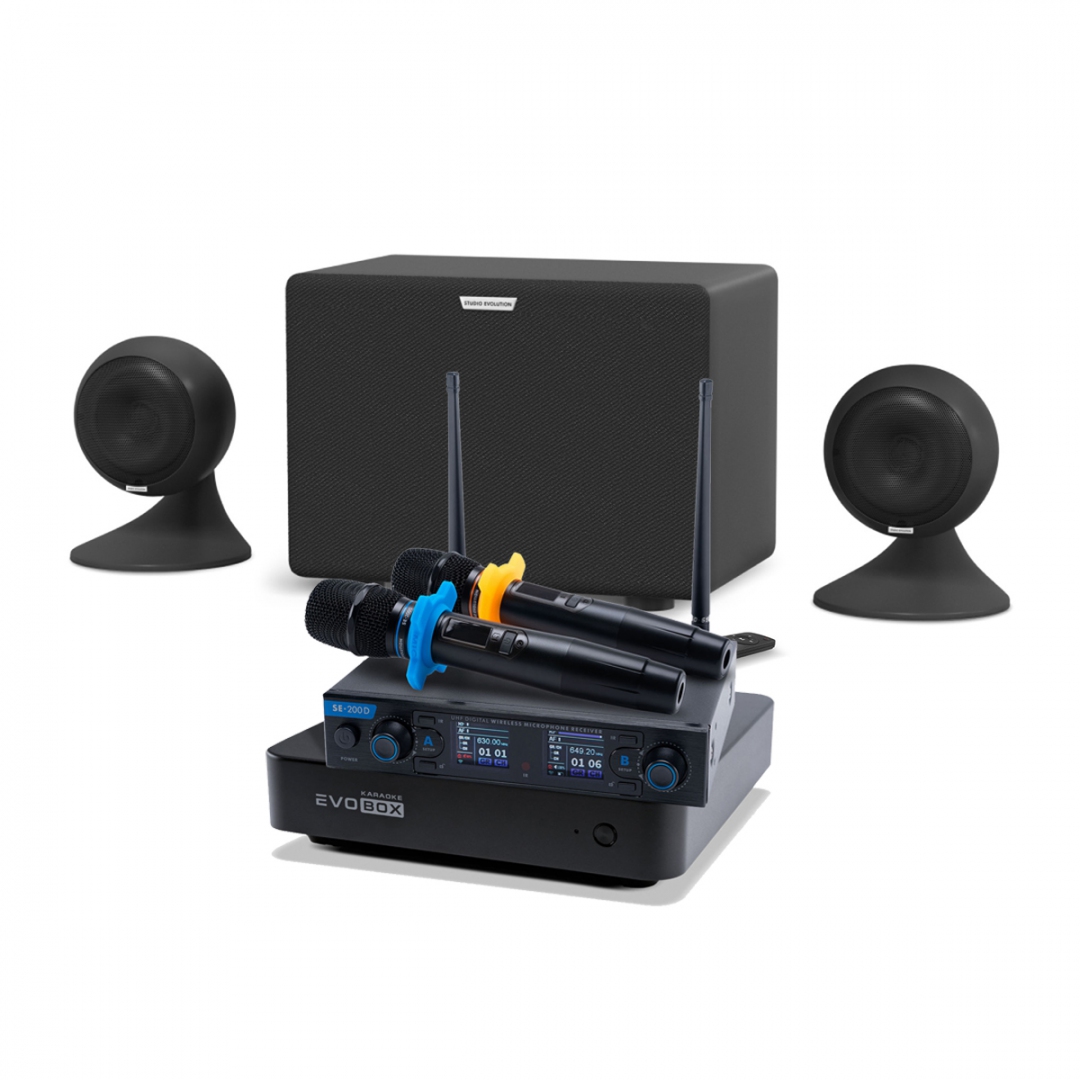 караоке-комплект EVOBOX + EvoSound Sphere 2.1 в Кемеровской области