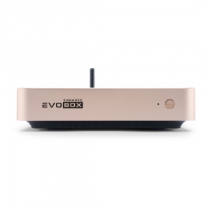 EVOBOX Plus караоке-система для дома в Кемеровской области